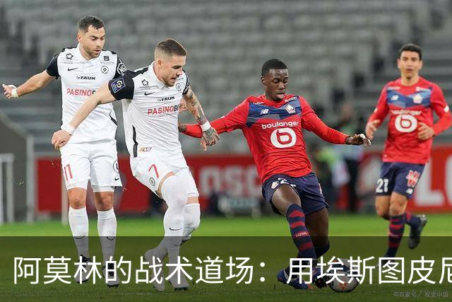 阿莫林的战术道场：用埃斯图皮尼安还是巴尔泰萨吉？